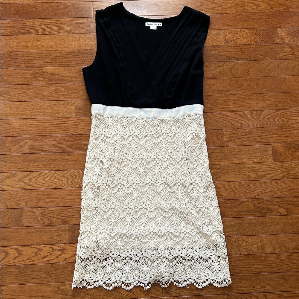Elegant Black and Cream Lace Dress